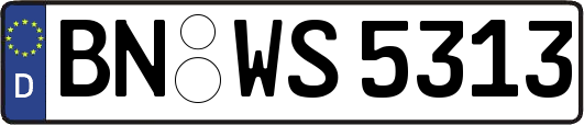 BN-WS5313