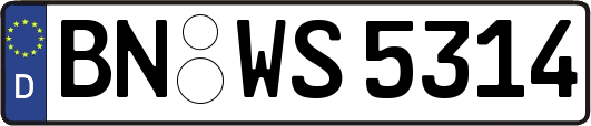 BN-WS5314