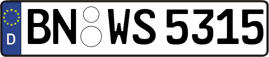 BN-WS5315