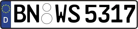 BN-WS5317
