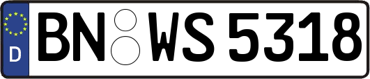 BN-WS5318