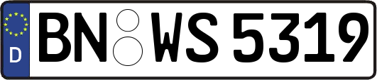 BN-WS5319