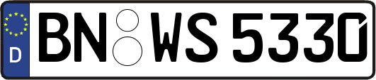 BN-WS5330