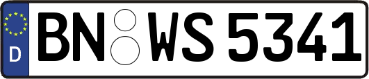BN-WS5341