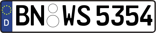 BN-WS5354