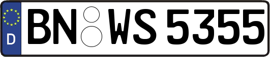 BN-WS5355