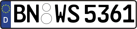 BN-WS5361
