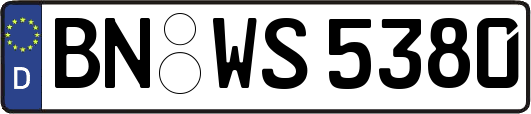 BN-WS5380