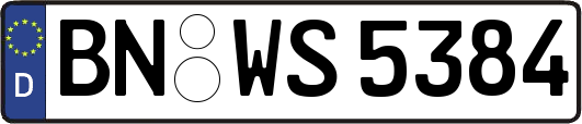 BN-WS5384