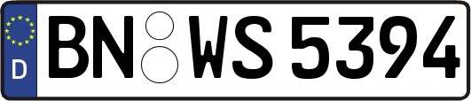 BN-WS5394