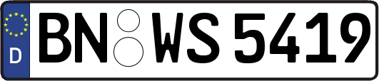 BN-WS5419