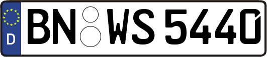 BN-WS5440