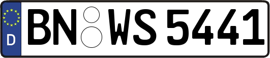 BN-WS5441