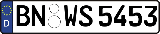 BN-WS5453