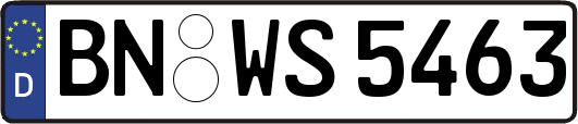 BN-WS5463