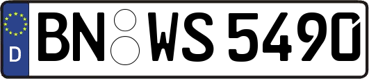 BN-WS5490