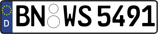 BN-WS5491