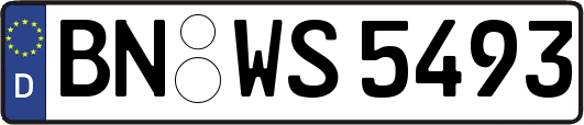 BN-WS5493