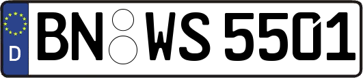 BN-WS5501