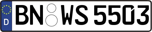 BN-WS5503