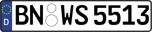 BN-WS5513