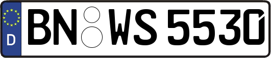 BN-WS5530