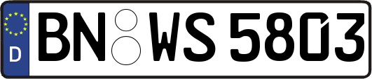 BN-WS5803
