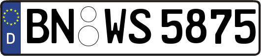BN-WS5875