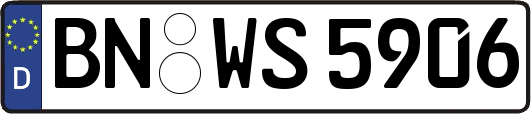 BN-WS5906