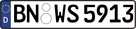 BN-WS5913