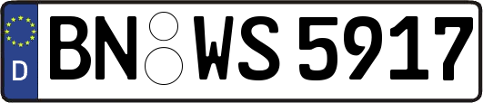 BN-WS5917