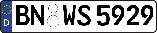 BN-WS5929