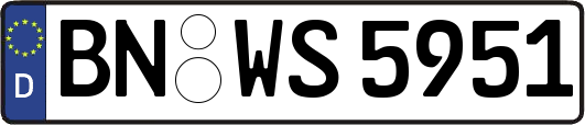 BN-WS5951