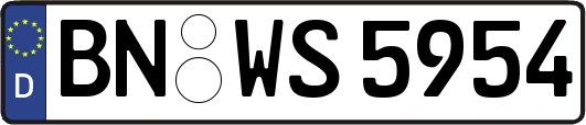 BN-WS5954