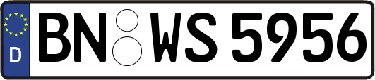 BN-WS5956