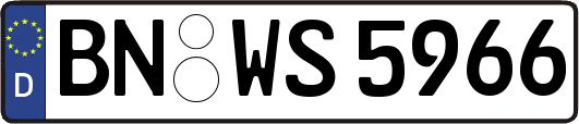 BN-WS5966