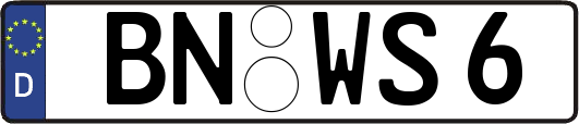 BN-WS6