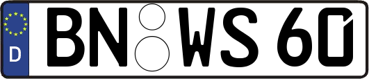 BN-WS60