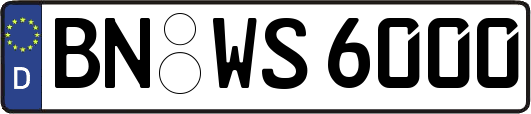 BN-WS6000