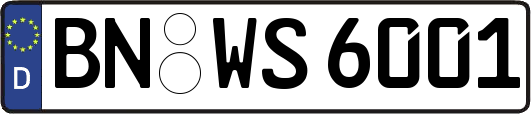 BN-WS6001