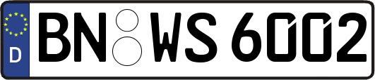BN-WS6002