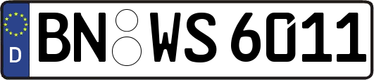 BN-WS6011