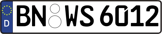 BN-WS6012