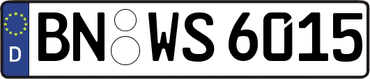 BN-WS6015