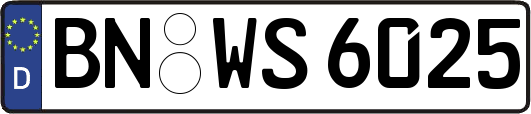 BN-WS6025