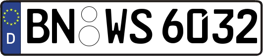 BN-WS6032