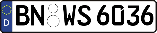 BN-WS6036