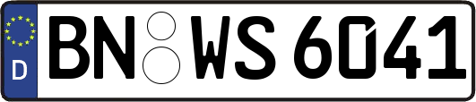 BN-WS6041