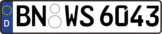 BN-WS6043