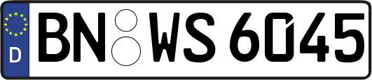 BN-WS6045